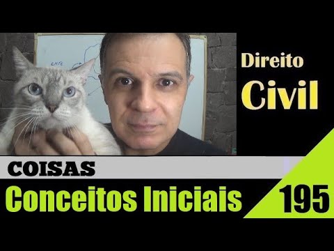 Civil Law - Class #195 - Initial Concepts of "Things" (That's it!)