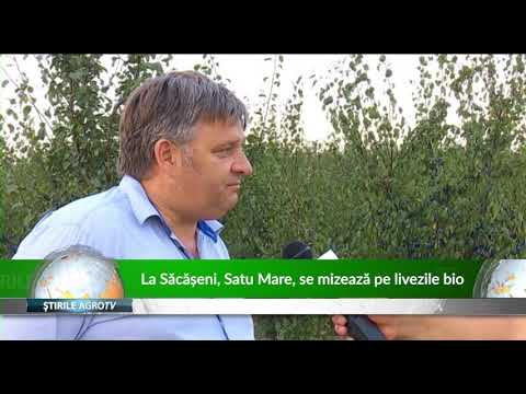 La Săcășeni, Satu Mare, se mizează pe livezile bio 12 09 2019