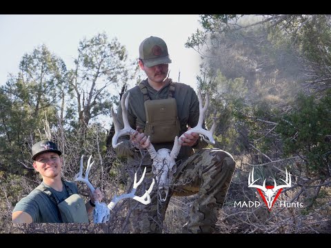 Quick Morning Glass Turns Shed Hunting Adventure! Quick Morning Glass Turns Shed Hunting Adventure!