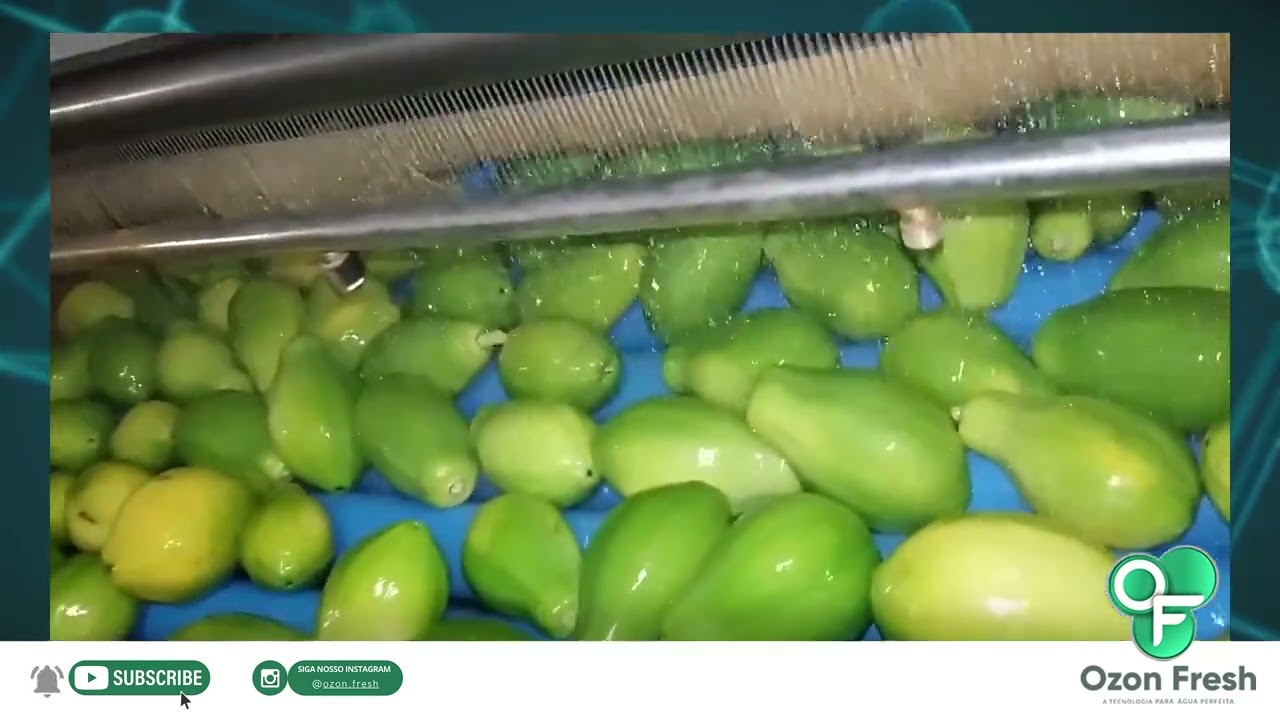 Higienização de Frutas