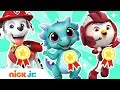 Longest Song Dance More Record Breaking W PAW Patrol Top Wing More Nick Jr
