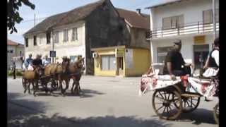 preview picture of video '14.07.2013. | XX.  Državna konjogojska izložba - Sunja'