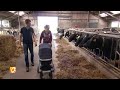 Op babybezoek bij Boer Henk en zijn Fiona - RTL BOULEVARD
