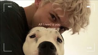 [가사해석/번역] 난 너 하나면 돼🍯💕 Troye Sivan- for him.