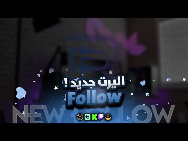 اليرت فولو
