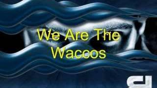 Basshunter - We Are The Waccos