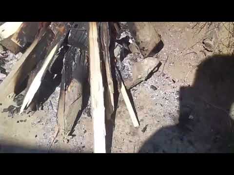 La Gura Teghii, Furtunesti