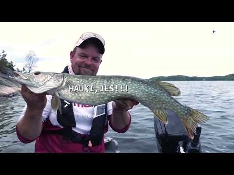 HAUKEA SAARISTOLAISITTAIN, pyydä ja valmista  / Archipelago Pike, Catch and cook.