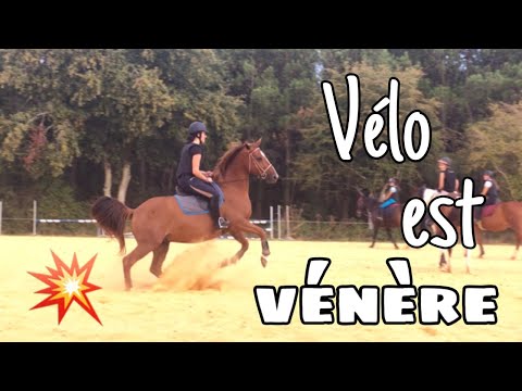 [COURS] Saut d’obstacles ! 21/09/19 - CS’o Landreau