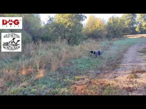 Allenamenti settembrini