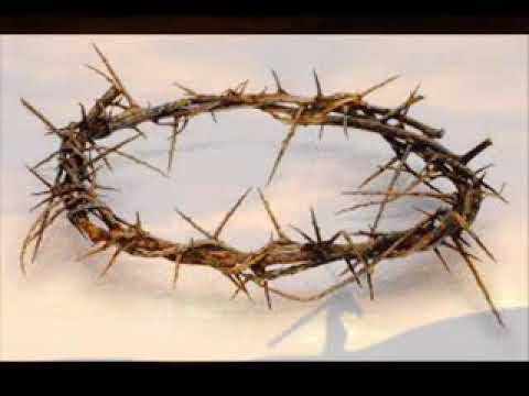 Damir Topić  : Meni je znak