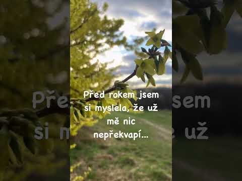 Před rokem jsem se..