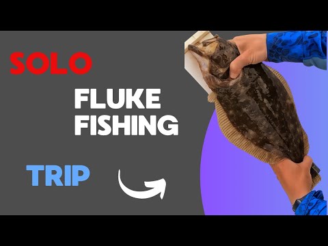 Solo Fluke Fishing Trip - Great Day on the Water!