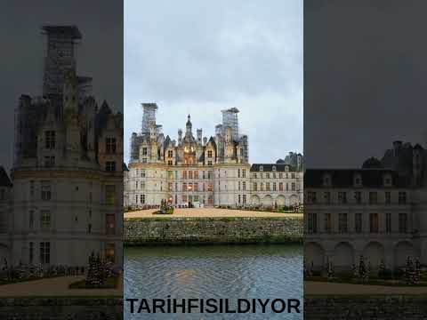 Bir Maymun Koca Bir İmparatorluğun Kaderini Değiştirdi!