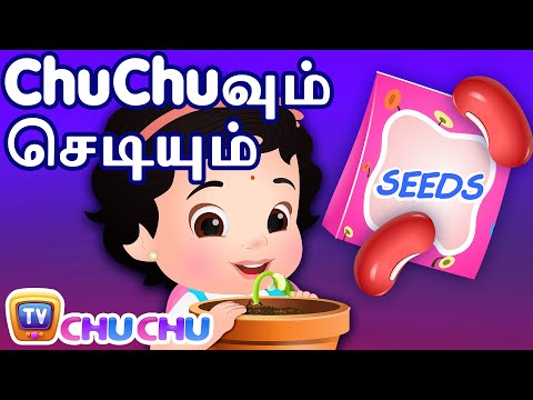 ChuChuவும் செடியும் (ChuChu and the Plant) - சிறுவர் கதைகள் தொகுப்பு - ChuChu TV