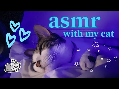 ASMR cat purring for (almost) 1 hour [1k subs special]