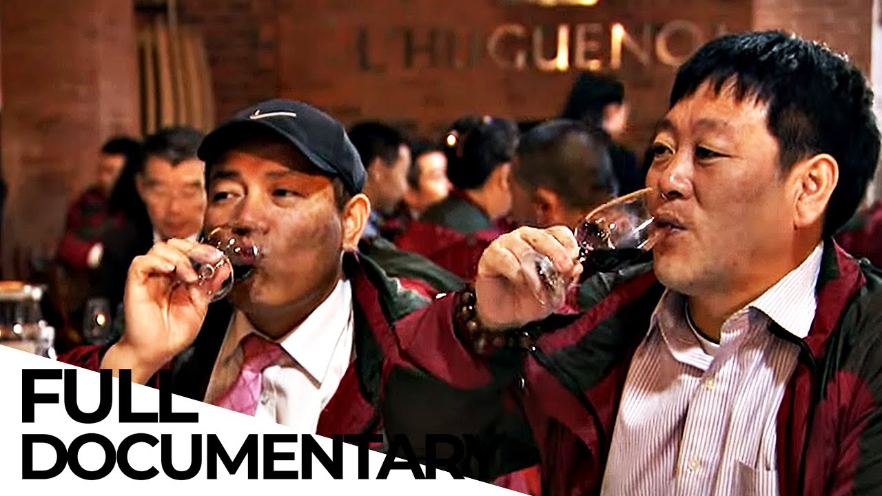 How China is Becoming South Africa’s Wine Partner | China/Africa Big Business