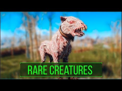 Fallout 4: 5 Rare and Interesting Creature Types You May Have Missed - Fallout 4 Secrets (Part 5)