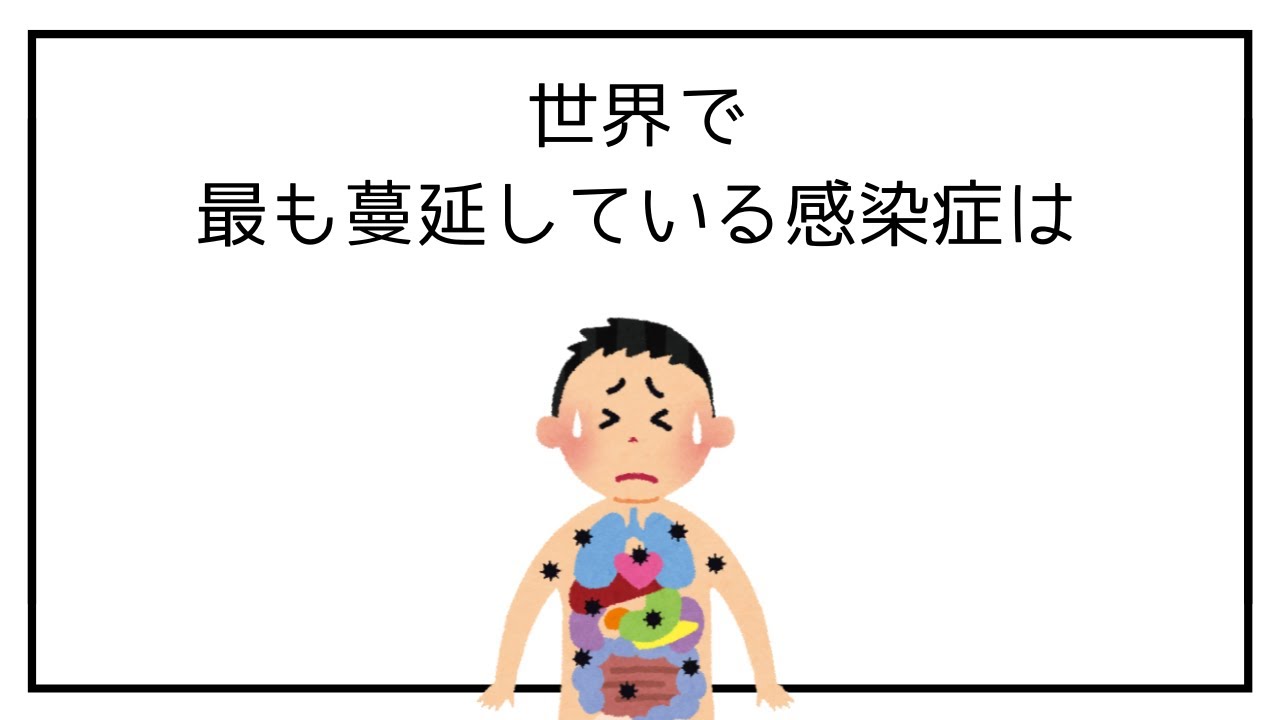 ほとんど知らない面白い雑学 20240603