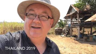 preview picture of video 'The Cow Whisperers - Mukdahan, Thailand 2019'
