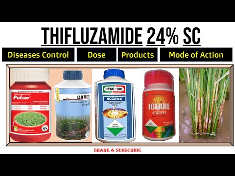 Fulsor Thifluzamide 24% SC Fungicide