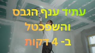 עתיד ענף הגבס/שפכטל/צבע..