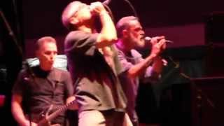 Descendents - Jean Is Dead - Chicago Riot Fest 2014