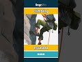 climbing - escalada video thumbnail