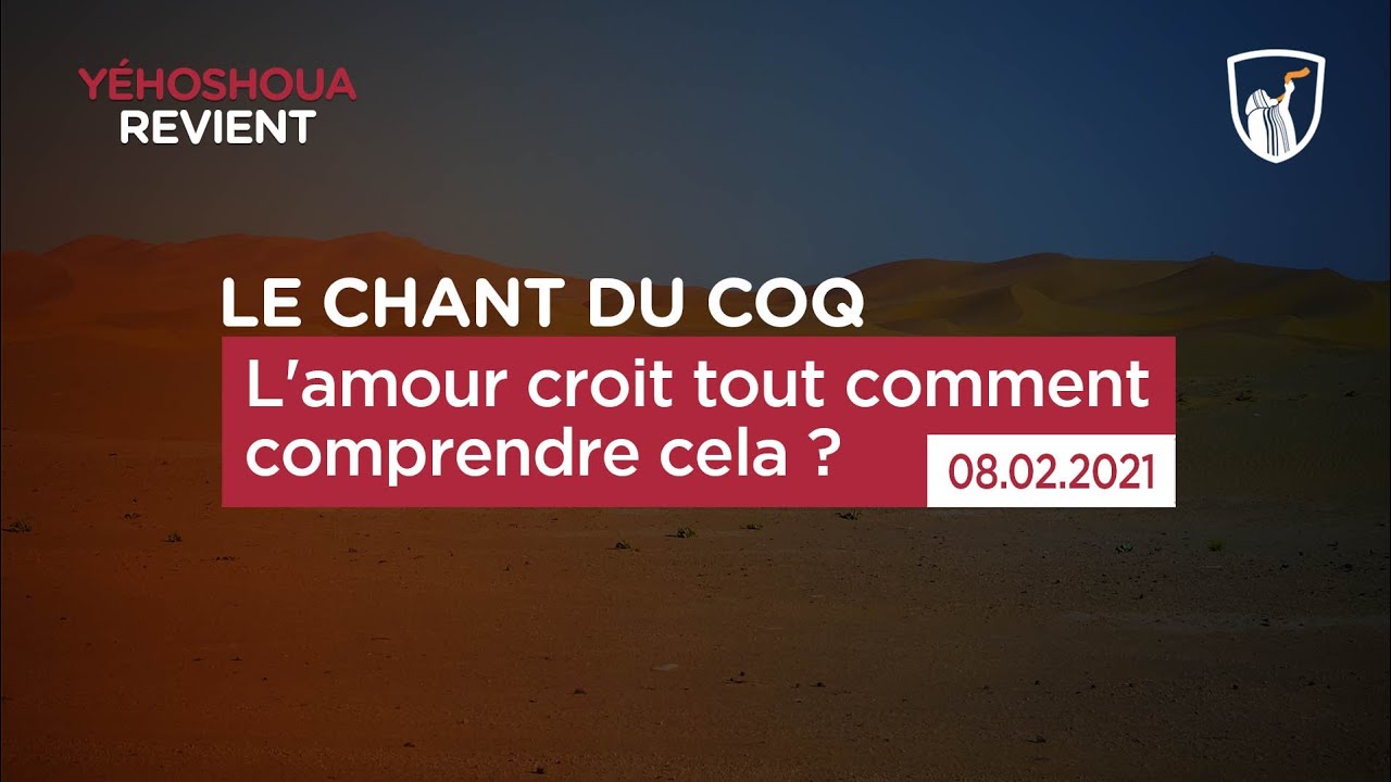 Thumbnail of video: L'amour croit tout comment comprendre cela ? (1/4)