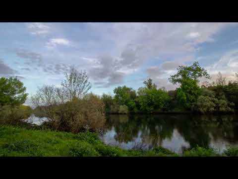 🎶🎶Moloko The Time Is Now