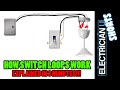 SHORTS - Switch Loops EXPLAINED IN 3 MINUTES!!!
