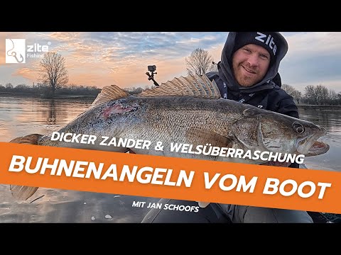 Buhnenangeln auf dicke Zander & Welsüberraschung: Tipps & Tricks für fangreiche Winter vom Profi!