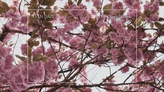 Teen Daze (w/ Dustin Wong) - Cherry Blossoms (Official Audio)