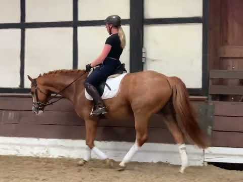 Filibustero 10j. v. Fiorano - Baroncelli   VB 16.500,- Euro