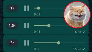 AUDIO VAZADO 