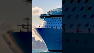 Symphony of the Seas 🛳️ #like #share #comment #subscribe #cruiseship #cruise #vacation #shorts #yt