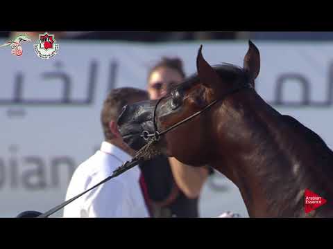 N 380 E S  EMTIYAZ   Emirates AHBC