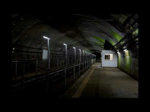 Kateryna Voroniuk - Your Last Train