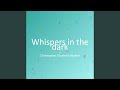 Whispers in the dark