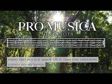 Virtual Vignette #3: Beethoven Piano Trio in Bb Major: Movement 3