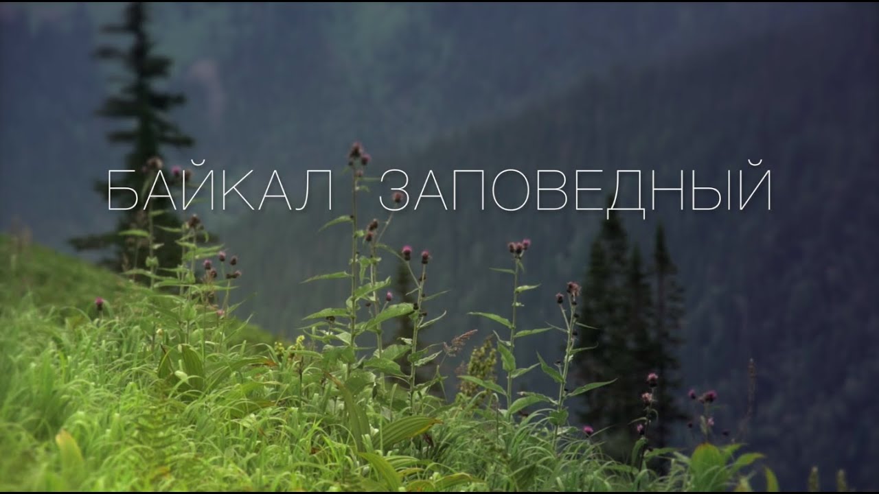 Документальный фильм о Байкальском заповеднике