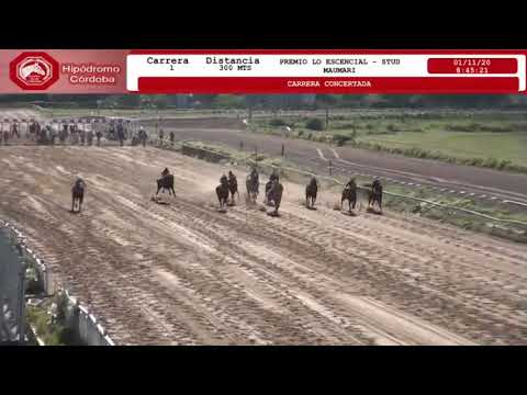 1° Carrera 300 mts (Hip CBA) Ganador: Acertijo