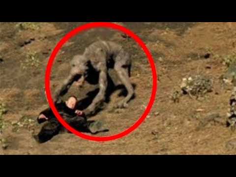20 Terrifying Creatures Caught on Camera