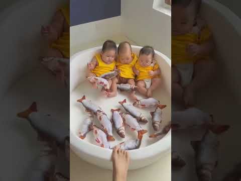 Si kecil pasti suka banget sama mainan ikan goyang ini! 🐟✨ Seru dan unik, bikin waktu bermain jadi lebih menyenangkan!