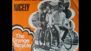 THE ORANGE BICYCLE - Nicely