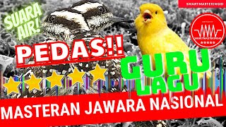 Download lagu Masteran Kenari vs pelatuk beras sampit mp3