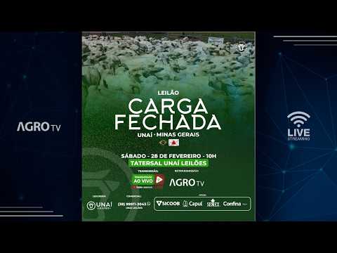 LEILÃO CARGA FECHADA UNAÍ LEILÕES EM UNAÍ - MG - 28/02/2026