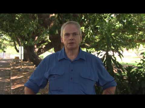 George Brown Darwin Botanic Gardens