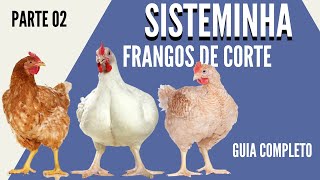 Frangos de Corte no Sisteminha - Guia Completo parte 02
