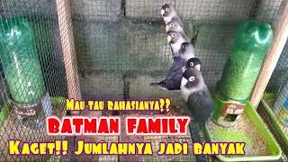 Download lagu LOVEBIRD BATMAN SEKELUARGA mp3 Download lagu LOVEBIRD BATMAN SEKELUARGA mp3